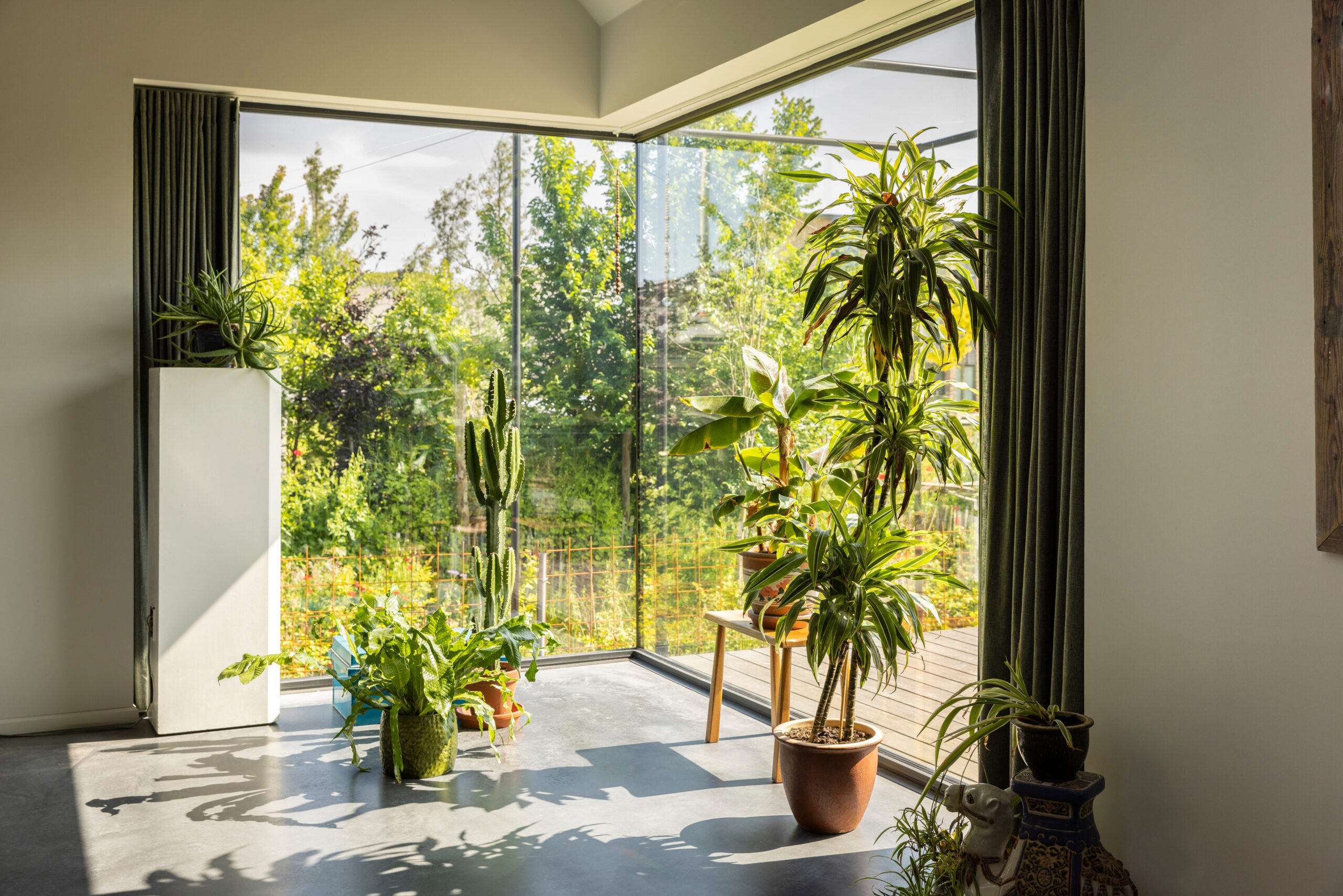 low maintenance indoor plants