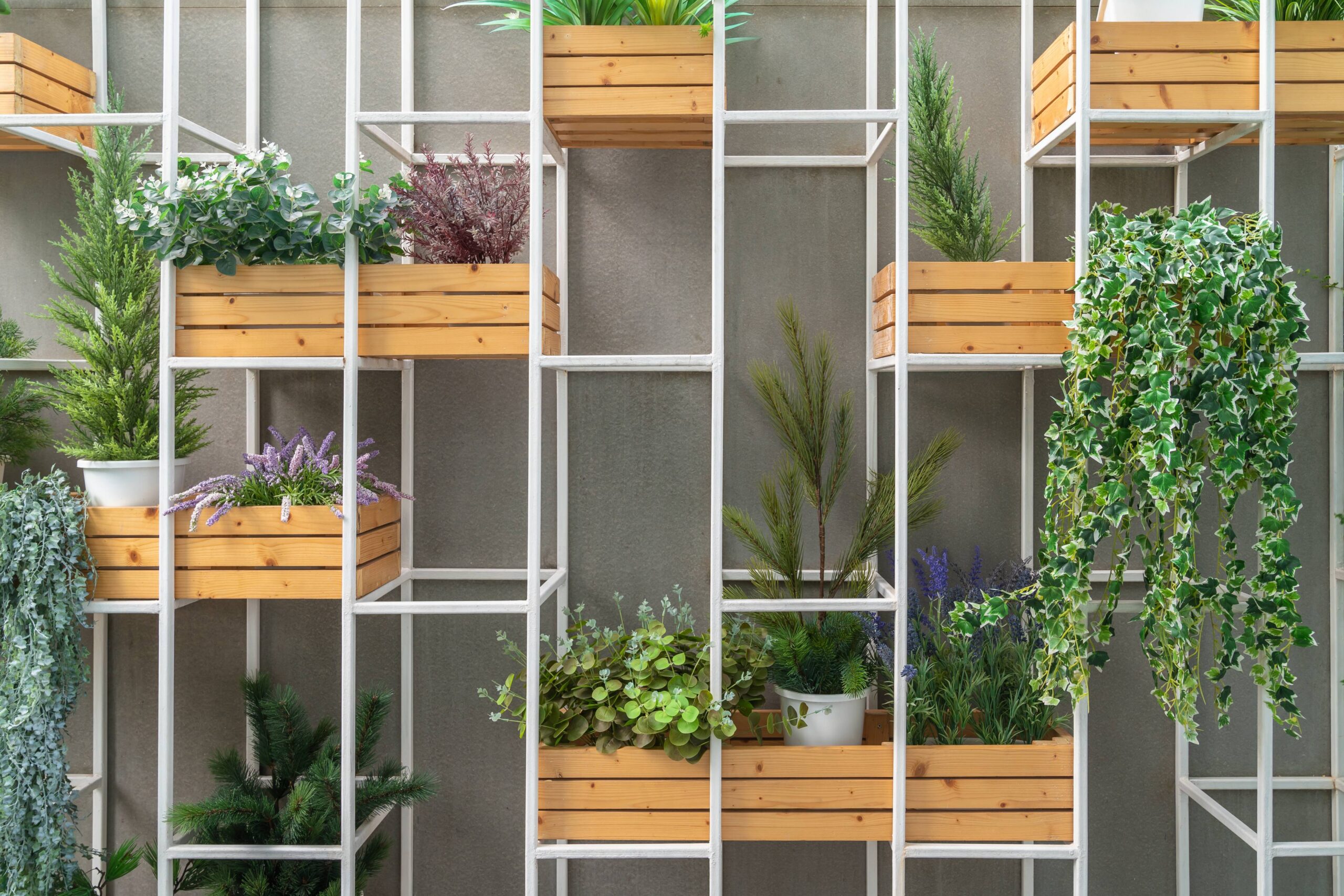 Indoor vertical garden wall with hanging planters
