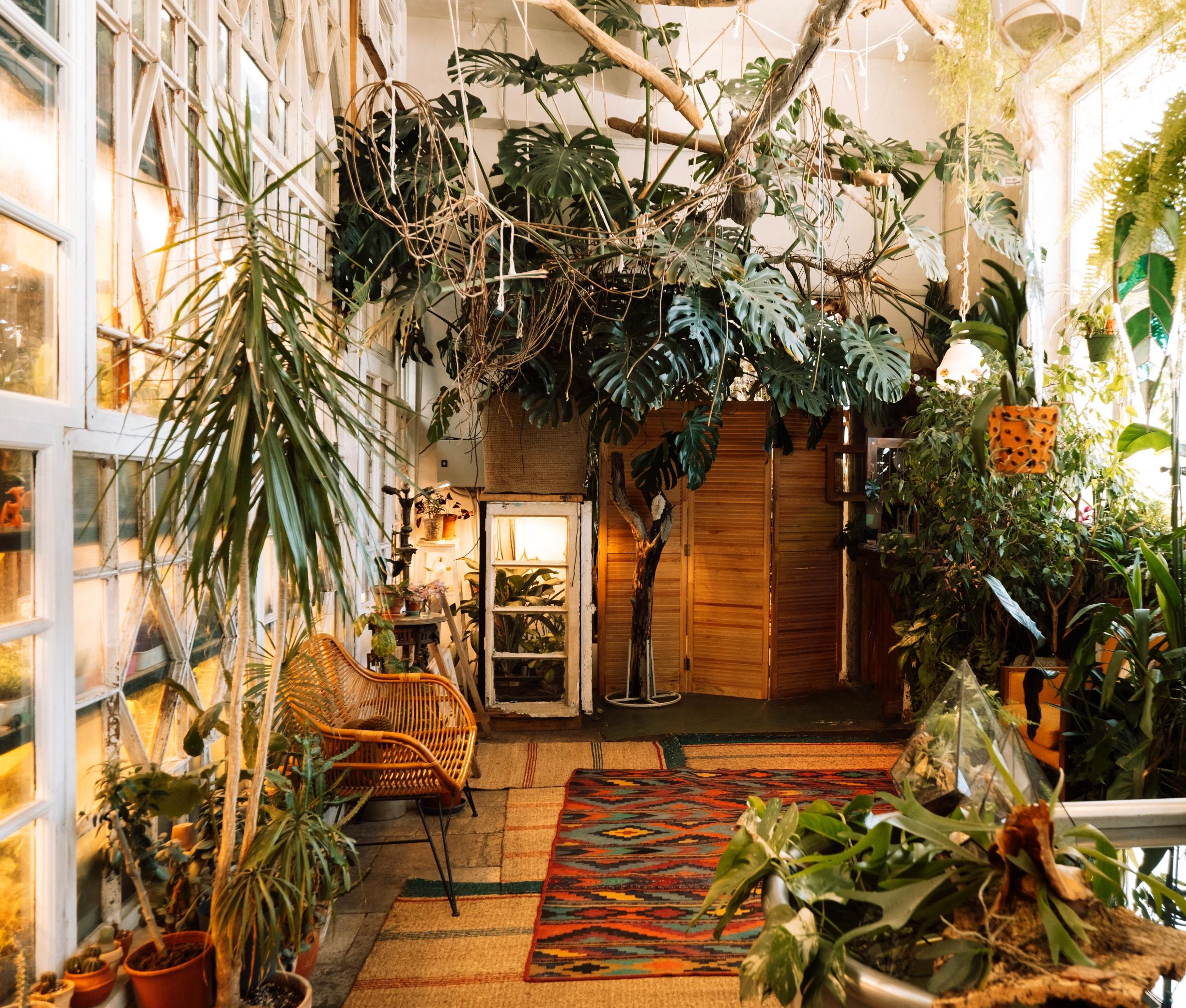 Natural light and plants